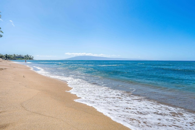 water view featuring a view of the beach