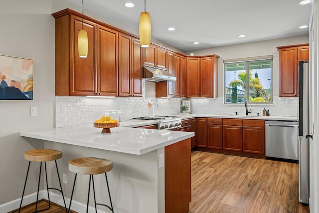 kitchen with a peninsula, a sink, light wood-style floors, under cabinet range hood, and appliances with stainless steel finishes