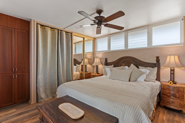 bedroom featuring ceiling fan and dark hardwood / wood-style flooring