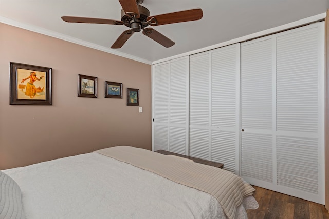 bedroom featuring dark hardwood / wood-style flooring, a closet, ceiling fan, and ornamental molding