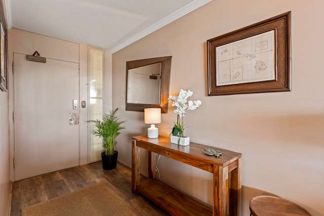 doorway featuring lofted ceiling, dark hardwood / wood-style flooring, and crown molding