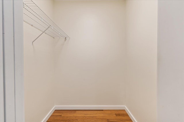 spacious closet featuring light wood-style flooring