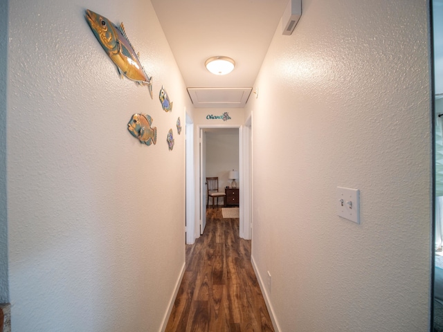 hall featuring dark hardwood / wood-style floors