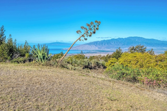 property view of mountains with a water view