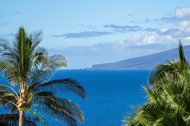 water view featuring a mountain view