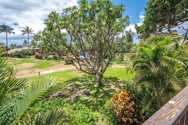 811 S Kihei Rd Unit 2H, Kihei, HI 96753 - view of community featuring a yard