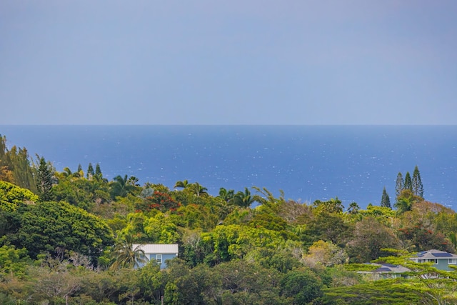 988 Auwaha St, Haiku, HI 96708