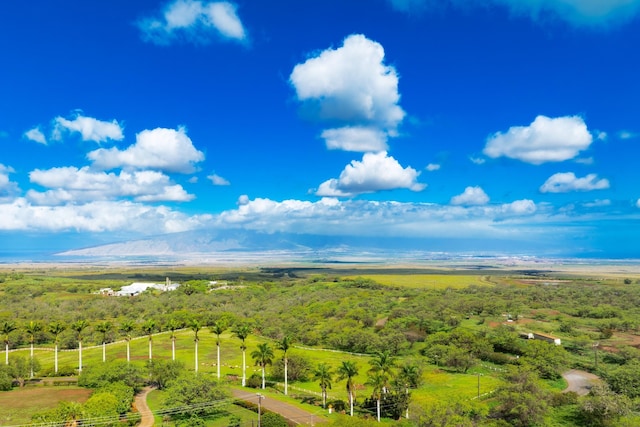 birds eye view of property with a rural view and a mountain view