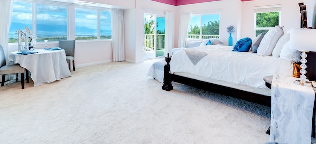 bedroom featuring multiple windows and carpet floors