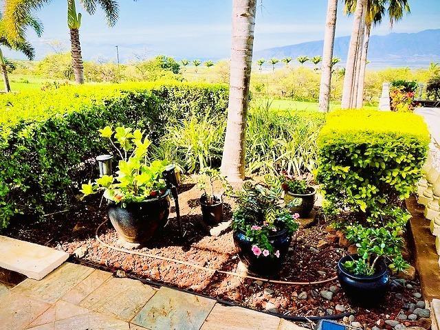 view of yard featuring a mountain view