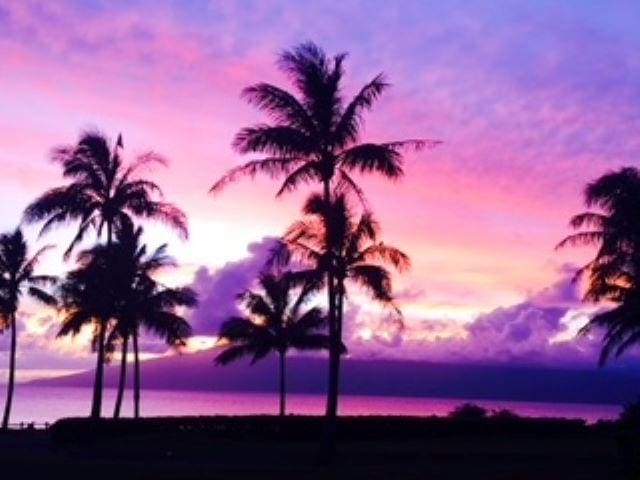 nature at dusk featuring a water view