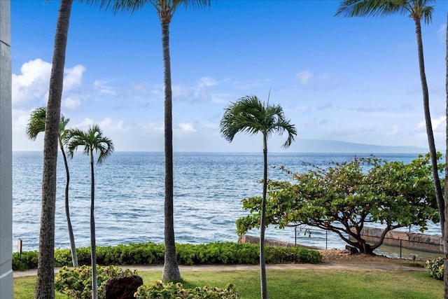 3445 Lower Honoapiilani Rd Unit 204, Lahaina, HI 96761 - water view