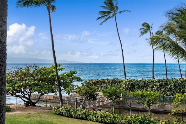 3445 Lower Honoapiilani Rd Unit 204, Lahaina, HI 96761 - water view with fence