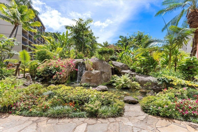 3445 Lower Honoapiilani Rd Unit 204, Lahaina, HI 96761 - view of yard