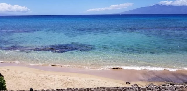 property view of water with a beach view