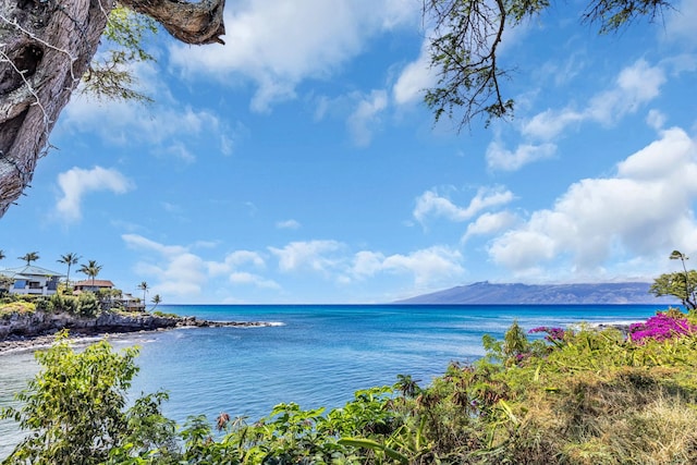 120 Hui Rd F E16, Lahaina, HI 96761 - water view