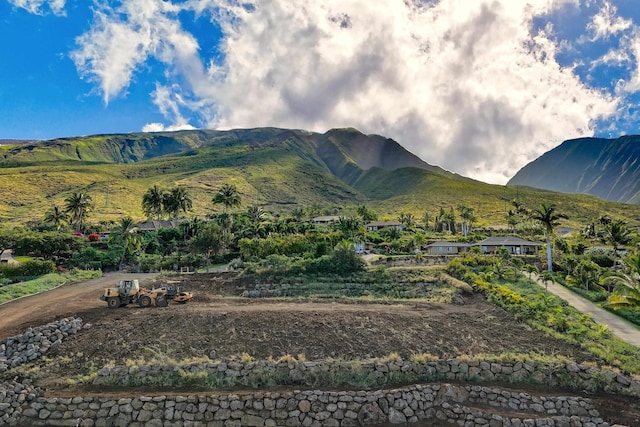 mountain view