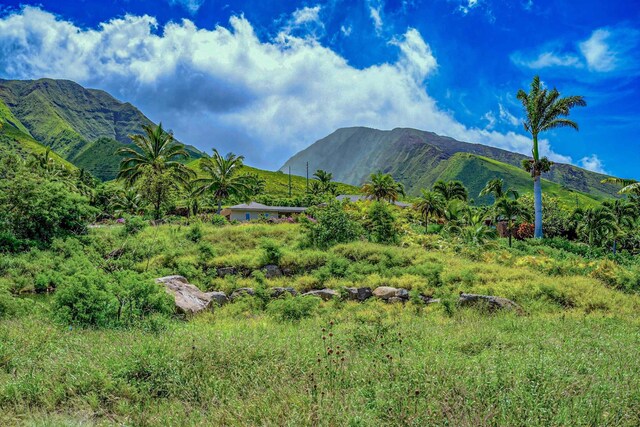 mountain view