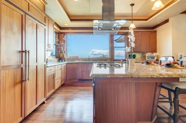 kitchen featuring a tray ceiling, hardwood / wood-style flooring, hanging light fixtures, a breakfast bar area, and island range hood