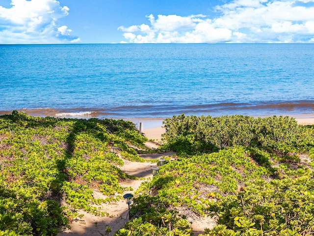 2274 S Kihei Rd, Kihei, HI 96753 - water view