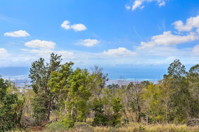 view of local wilderness