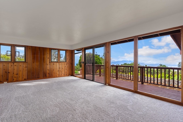 carpeted spare room with plenty of natural light