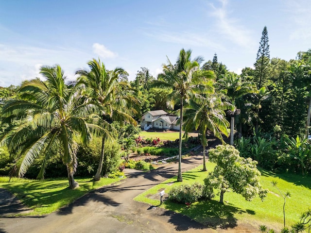 surrounding community featuring a yard