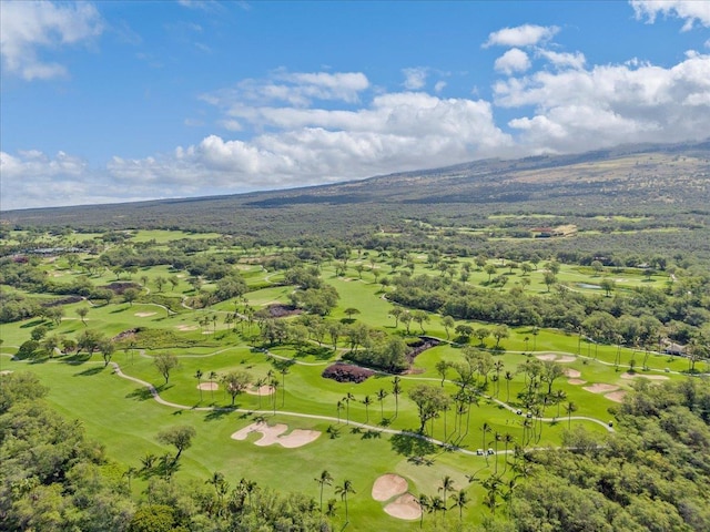 birds eye view of property featuring a mountain view