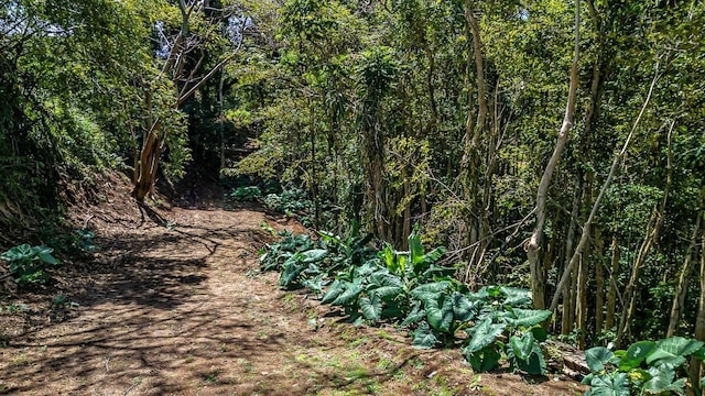 2762 Hana Hwy Unit Cpr B, Haiku, HI 96708