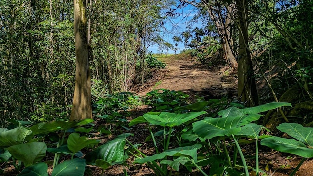 2762 Hana Hwy Unit Cpr B, Haiku, HI 96708