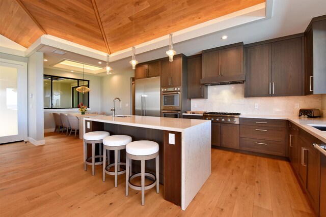 kitchen with lofted ceiling, a center island with sink, appliances with stainless steel finishes, a tray ceiling, and light hardwood / wood-style floors