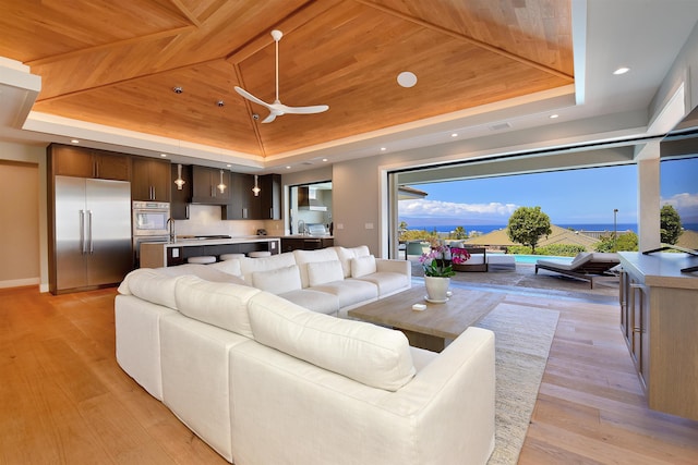 living room featuring sink, a tray ceiling, and light wood-type flooring