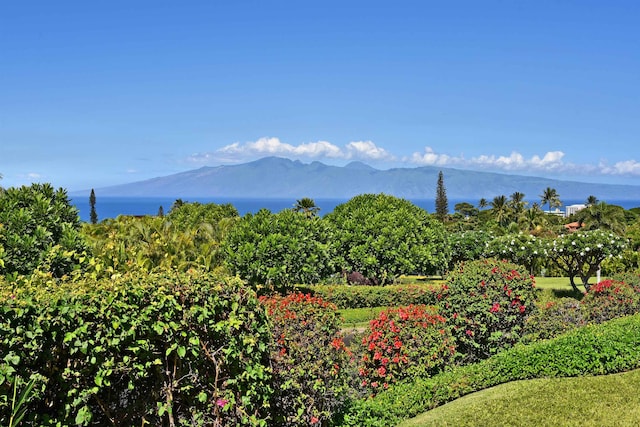 view of mountain view