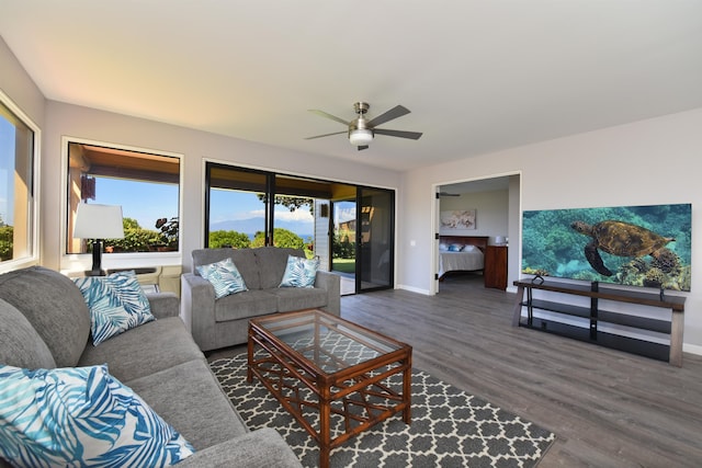 living room with a wealth of natural light, ceiling fan, and dark hardwood / wood-style flooring