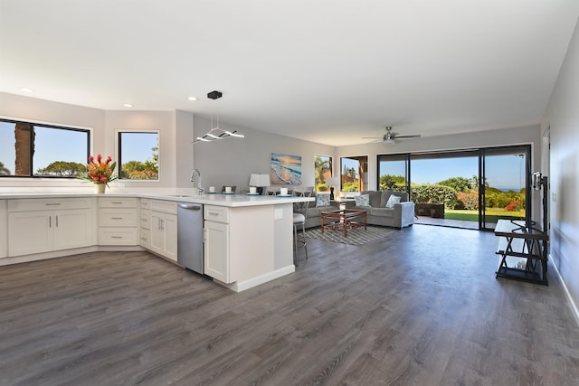 kitchen with white cabinets, dark hardwood / wood-style floors, and stainless steel dishwasher