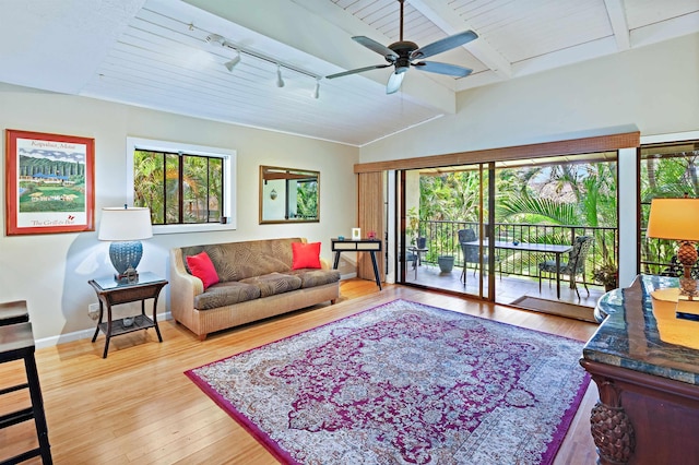 3788 Lower Honoapiilani Rd Unit D101, Lahaina, HI 96761 - living area with rail lighting, light wood-style floors, a ceiling fan, and wooden ceiling