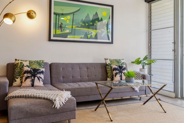 living room with hardwood / wood-style floors