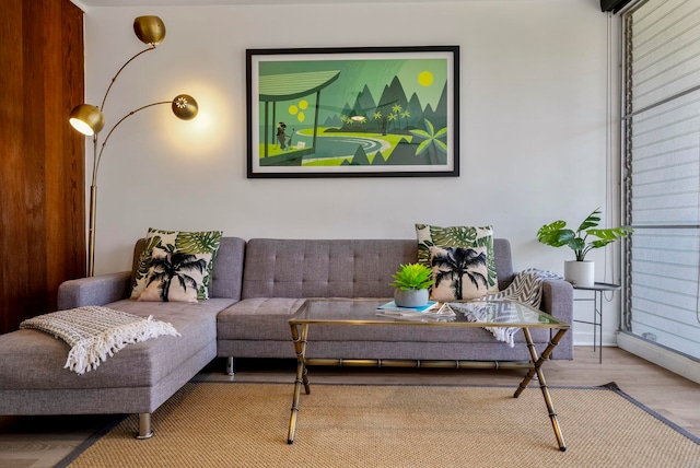 living room with hardwood / wood-style floors