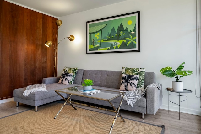 living room with light hardwood / wood-style flooring