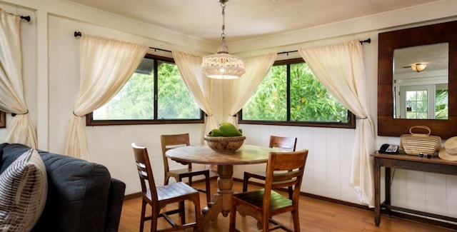 dining area featuring light hardwood / wood-style flooring