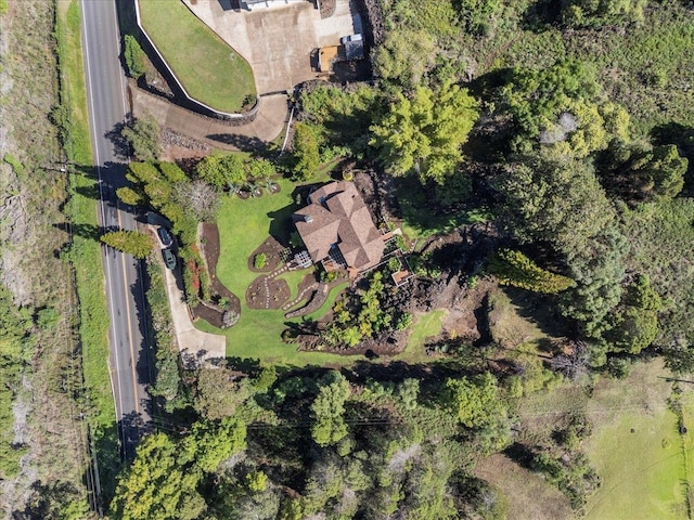 drone / aerial view