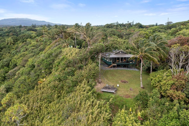 bird's eye view featuring a mountain view