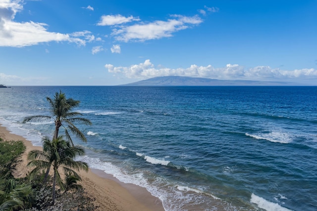 water view featuring a beach view