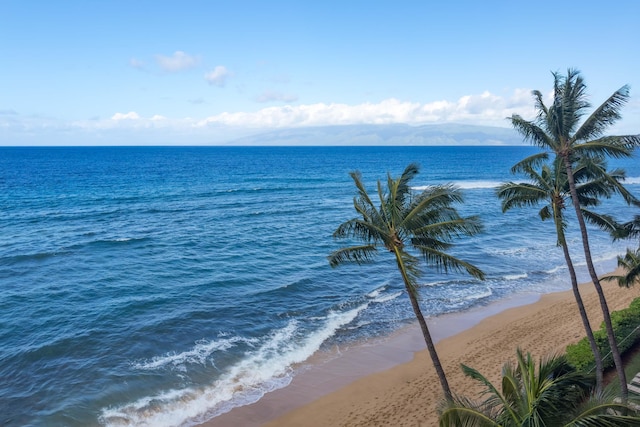 property view of water featuring a beach view