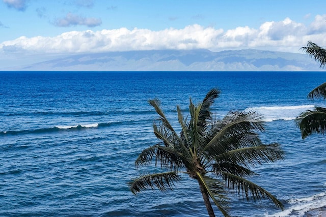 water view featuring a mountain view