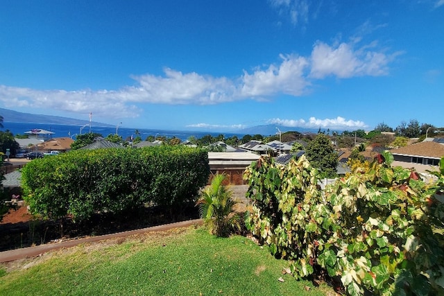 view of yard with a mountain view