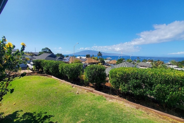 view of yard with a mountain view