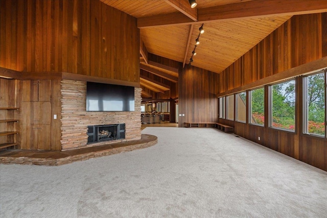 2450 Piiholo Rd, Makawao, HI 96768 - unfurnished living room with high vaulted ceiling, wooden ceiling with exposed beams, wood walls, carpet floors, and track lighting