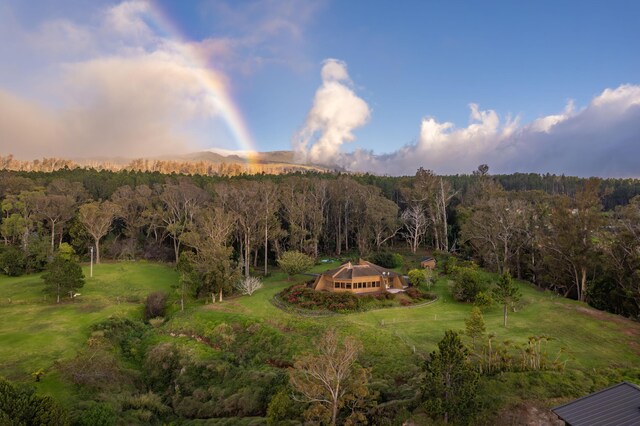 2450 Piiholo Rd, Makawao, HI 96768 - mountain view featuring a forest