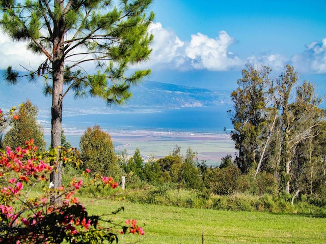 2450 Piiholo Rd, Makawao, HI 96768 - view of yard featuring a water view